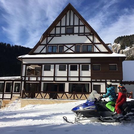 Chalet Alpina Moroeni Exterior foto